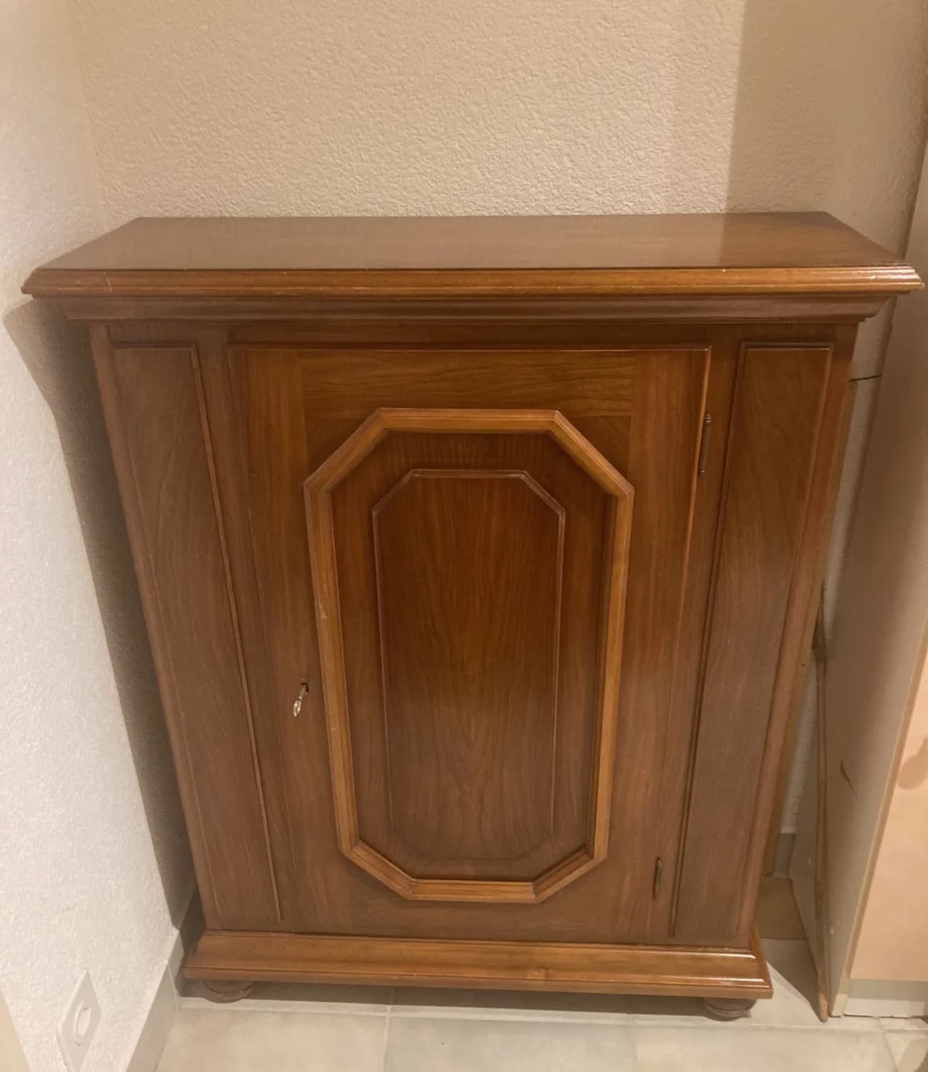 Stilmöbel / Barschrank mit Tür (Vollholz) - 1