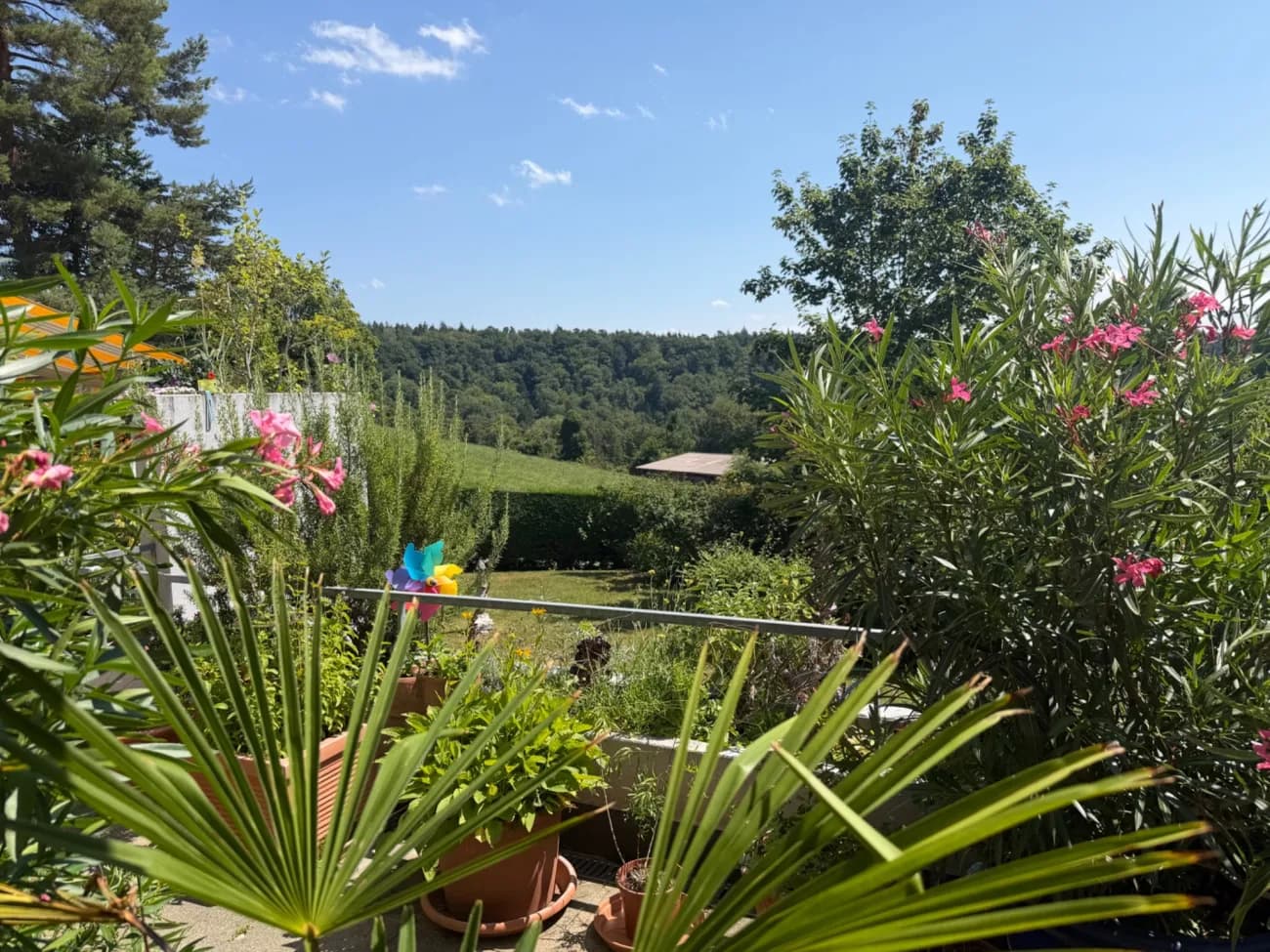 🌿 Sommer-Auszeit im Grünen – ruhige, schöne Terrassenwohnung in Küsnacht (8.8.–5.9.2026) - 1