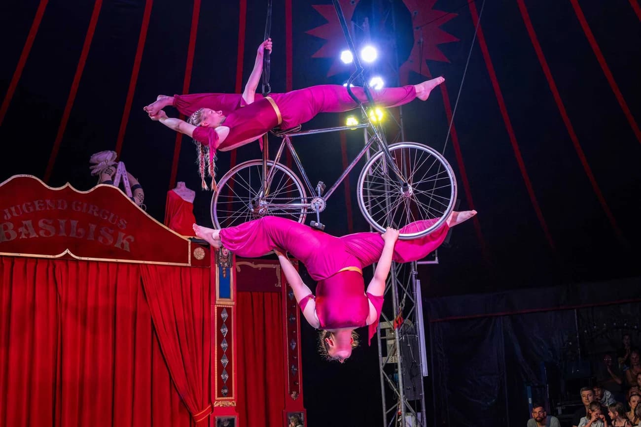 Jugend Circus Basilisk: Lumaris