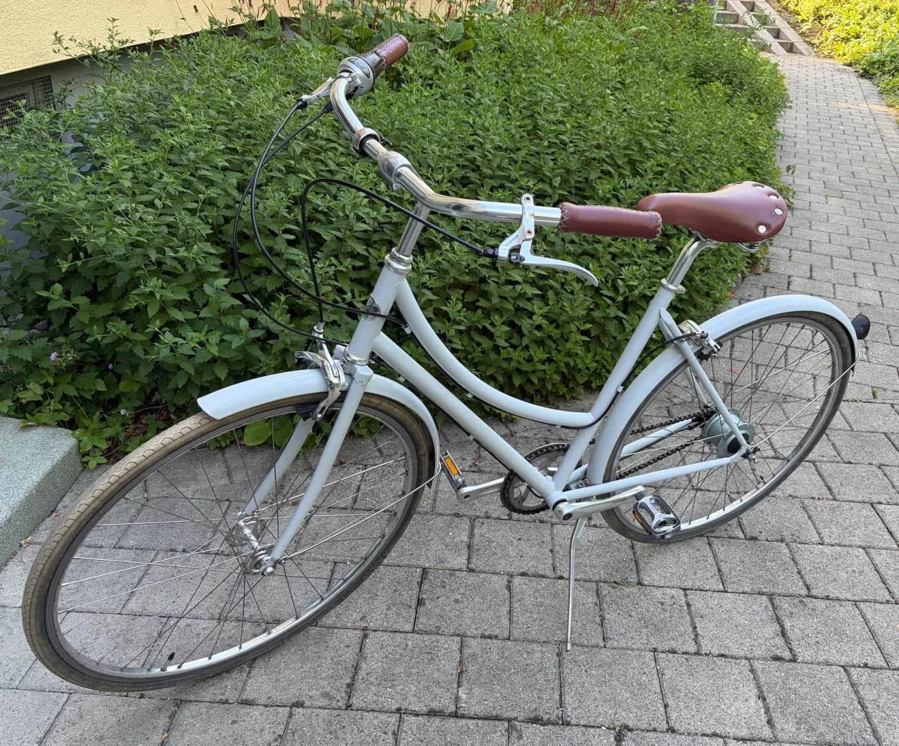 Weisswangenkauz Stadtvelo - 1