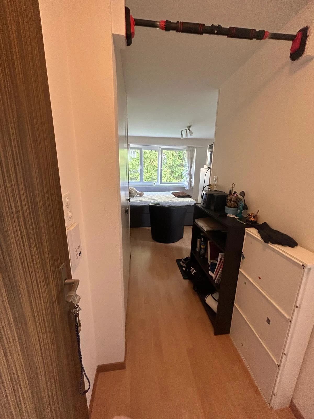 1-Zimmer-Wohnung in Zürich zu vermieten – nur 10 Gehminuten vom Zürichsee entfernt - 1