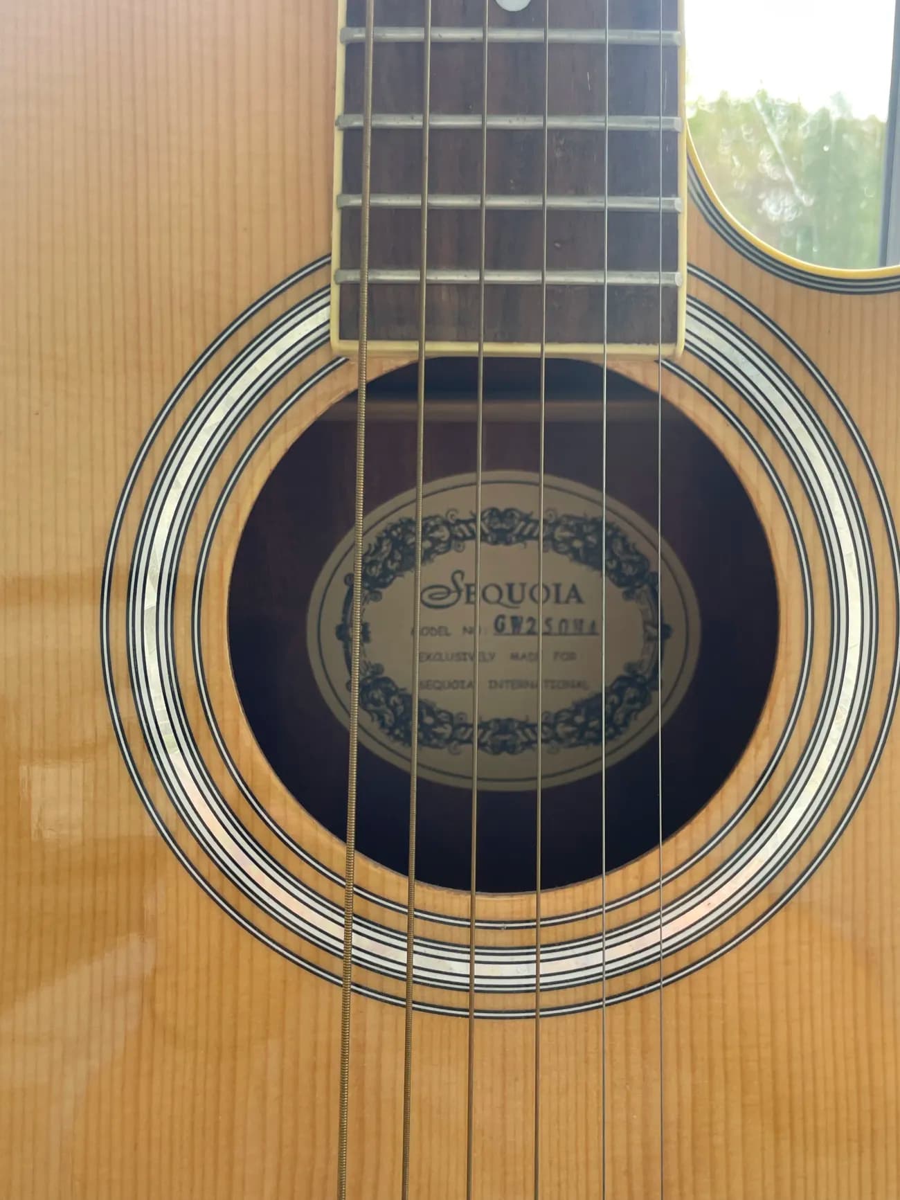 Sequoia GW250N4 Akustik Western Gitarre - 2