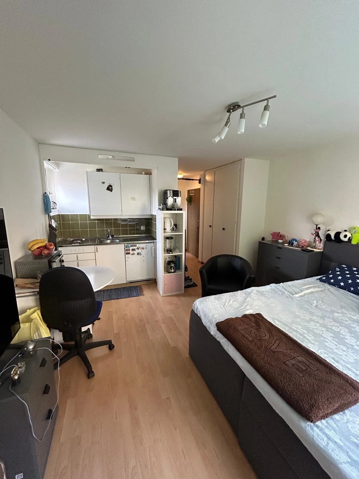 1-Zimmer-Wohnung in Zürich zu vermieten – nur 10 Gehminuten vom Zürichsee entfernt - 2