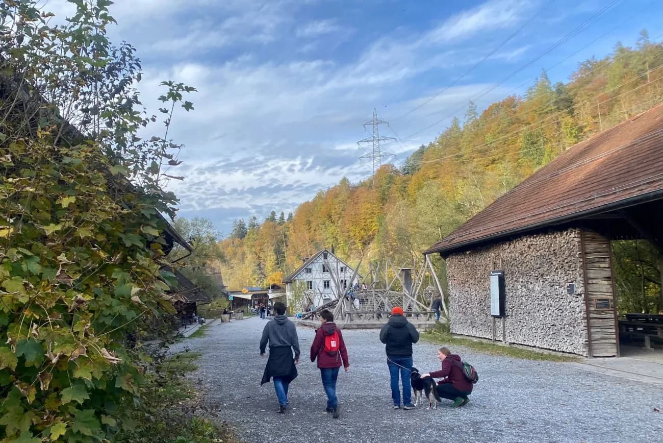 Gratis in die Sihlwald-Ausstellung am Saisonausklang - 1