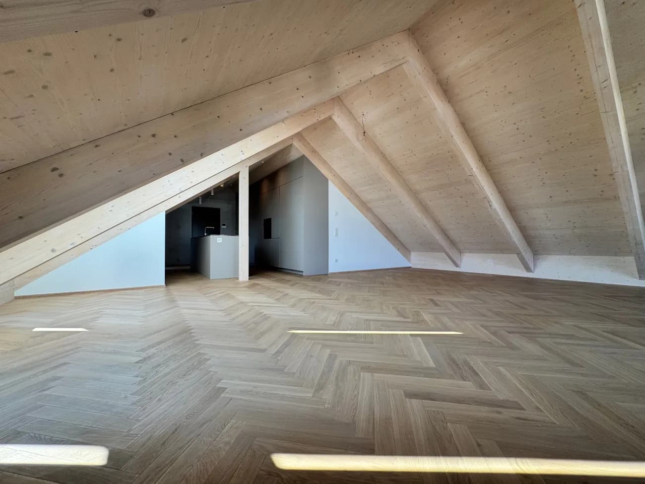Hochwertige 2,5-Zimmer-Dachwohnung in Muttenz - 2
