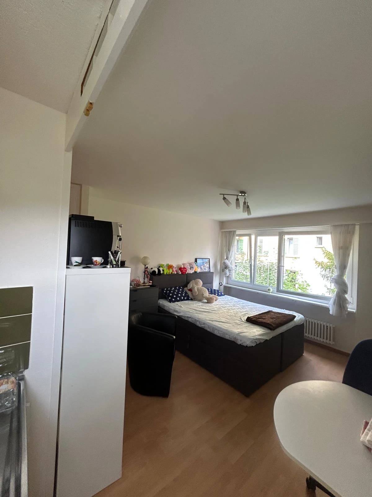 1-Zimmer-Wohnung in Zürich zu vermieten – nur 10 Gehminuten vom Zürichsee entfernt - 3
