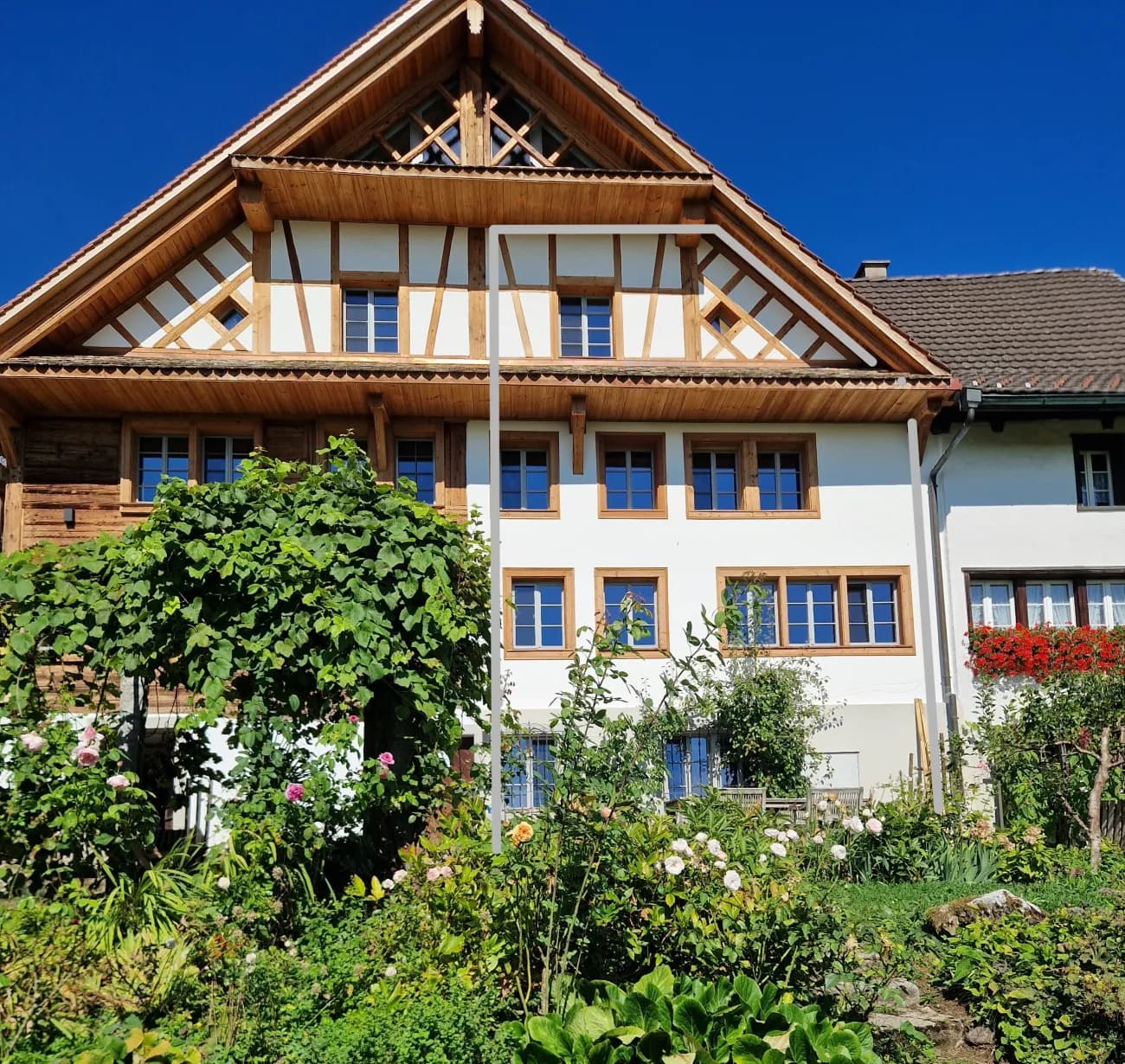 3er WG in liebevoll renoviertem historischem Haus in Hausen am Albis - 1