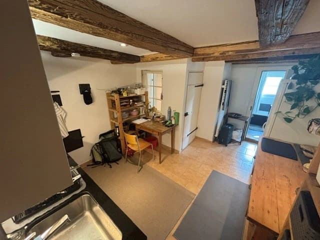 Idyllische 2.5 Zi Wohnung Letzistrasse (Rigiplatz) - 3