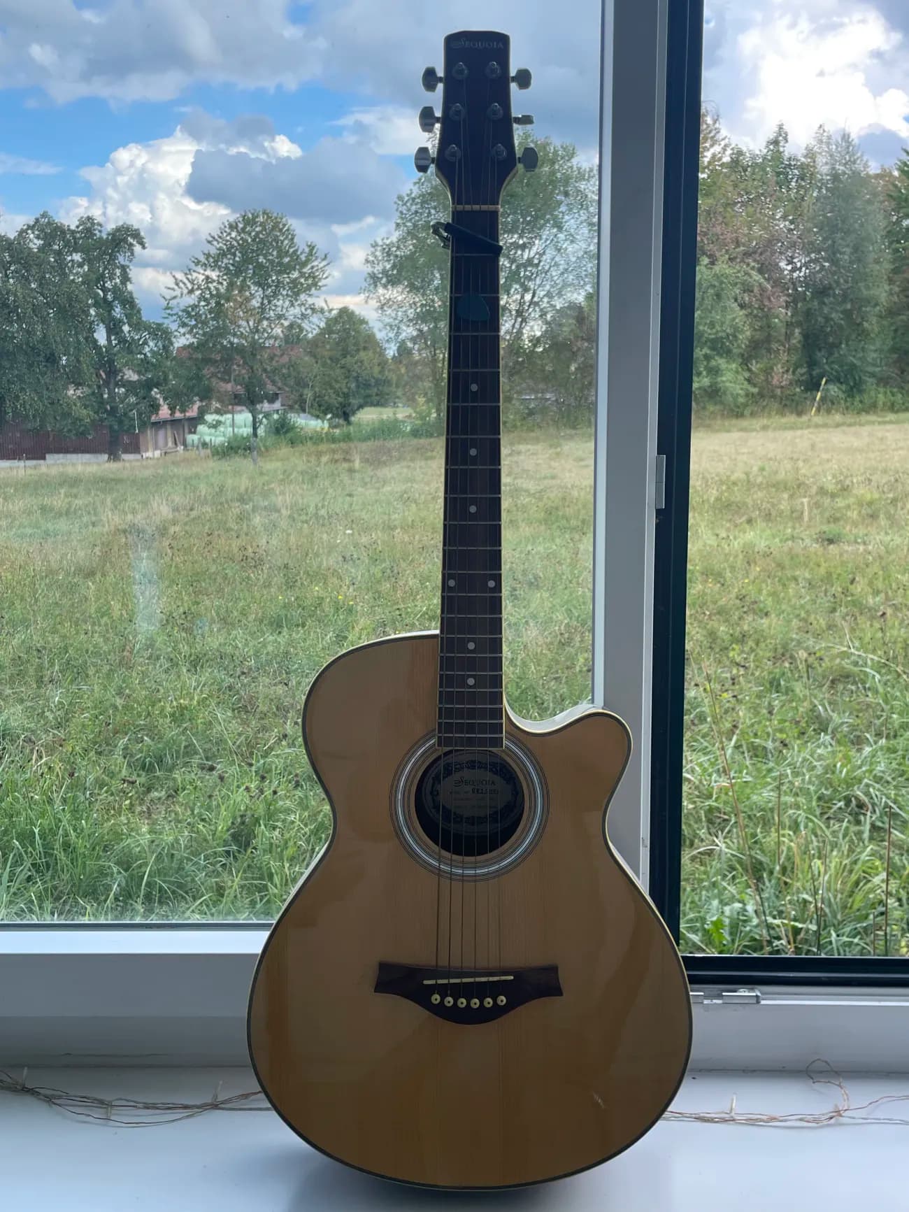 Sequoia GW250N4 Akustik Western Gitarre - 1