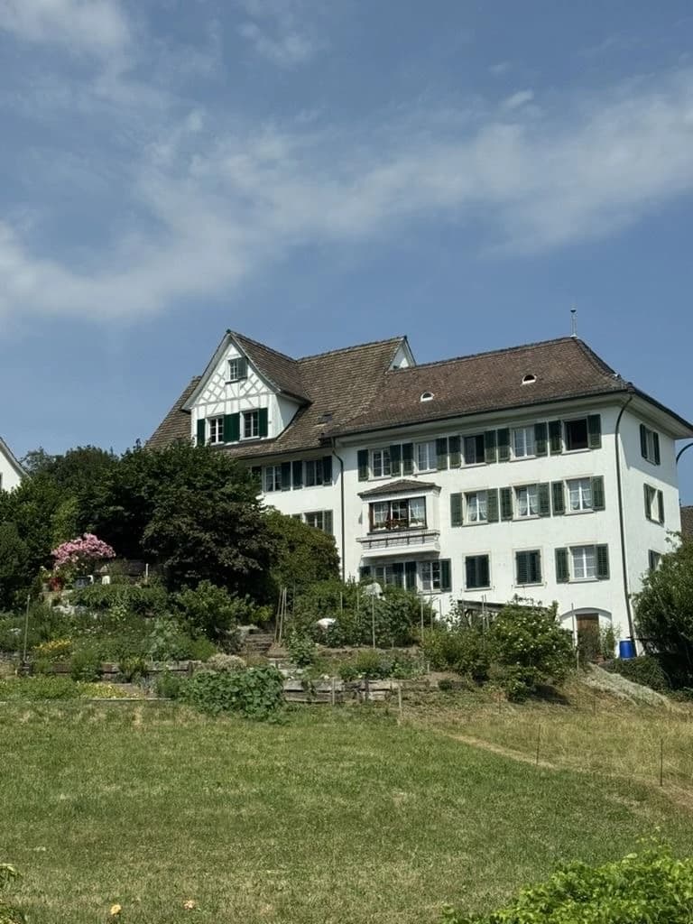 Musiker:in für einen Grillplausch gesucht (1. September, Hirzel) - 1