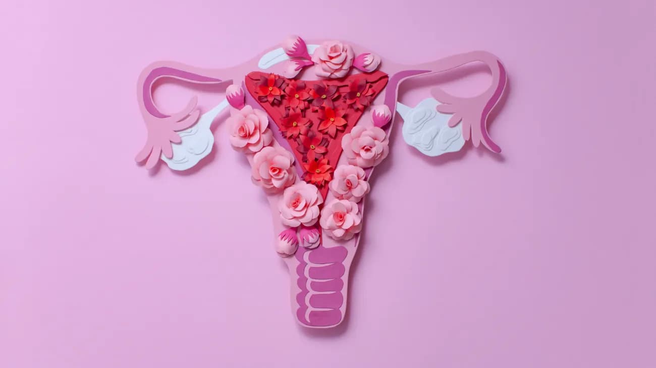 Hormone, Neurodivergenz und Dysregulation