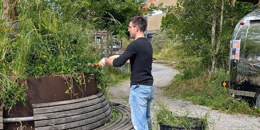 Natur verbindet – Pflegeeinsatz Areal Bach 3 - 1