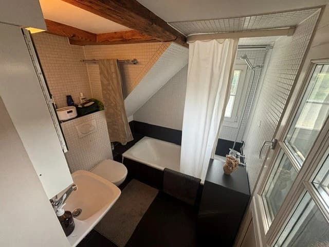 Idyllische 2.5 Zi Wohnung Letzistrasse (Rigiplatz) - 1