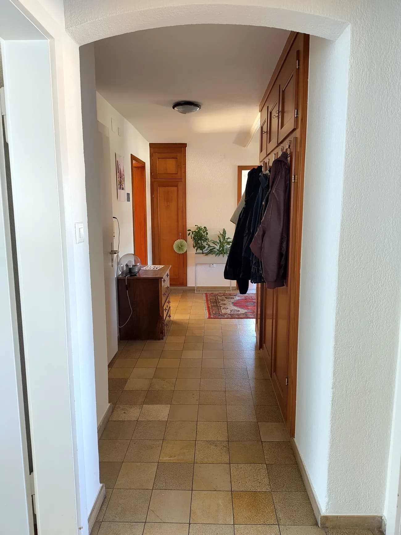 Bright WG-Room in Schlieren - 2