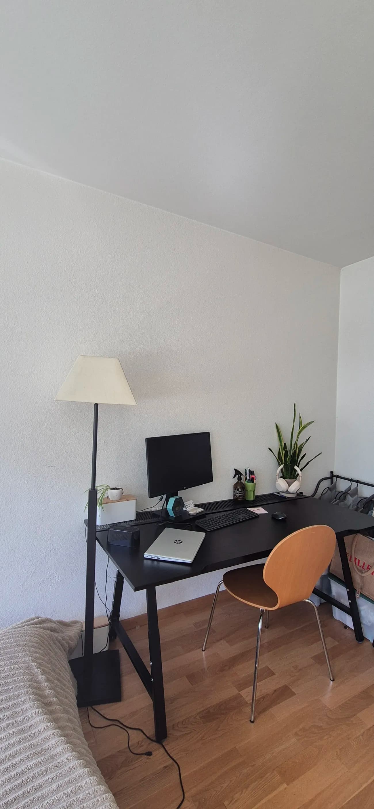 Lovely Furnished Room for Rent in Zurich - 3