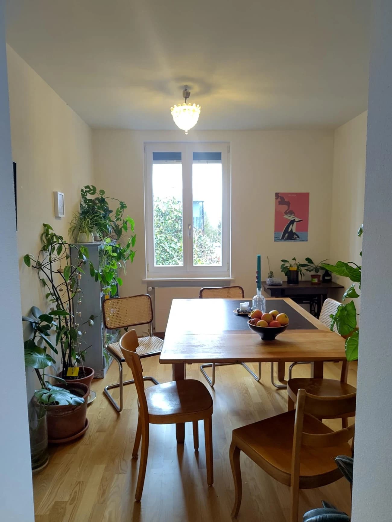 2 Zimmer in grossem 5-6er WG 8-Z-Haus mit Garten – Option zur Vertragsübernahme - 3