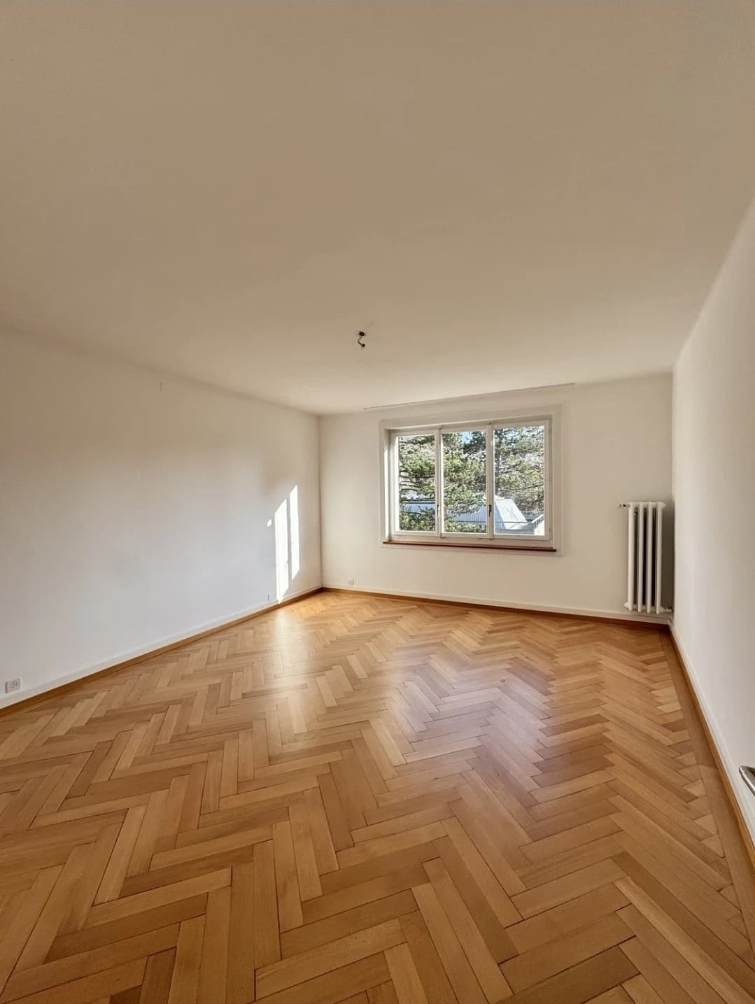 22.5 m² WG-Zimmer in Zürich, ab sofort bis 31.03.2027 - 1