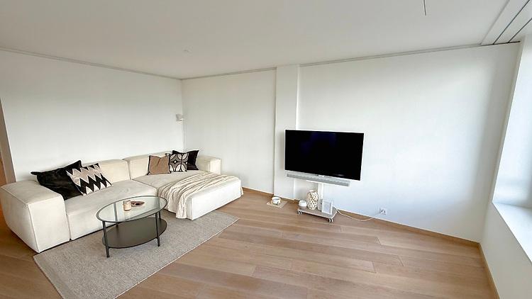 4½ ROOM APARTMENT IN DIETIKON (ZH), FURNISHED, TEMPORARY - 2