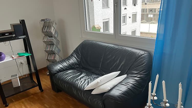 2½ ROOM ATTIC APARTMENT (PENTHOUSE) IN BADEN (AG), FURNISHED, TEMPORARY - 3