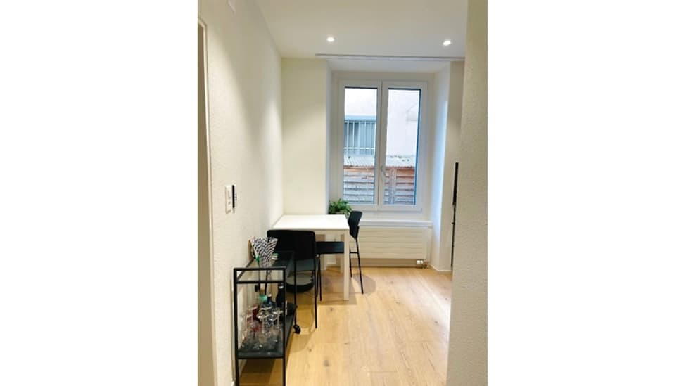 1½ ROOM APARTMENT IN ZÜRICH - KREIS 3, FURNISHED, TEMPORARY - 2