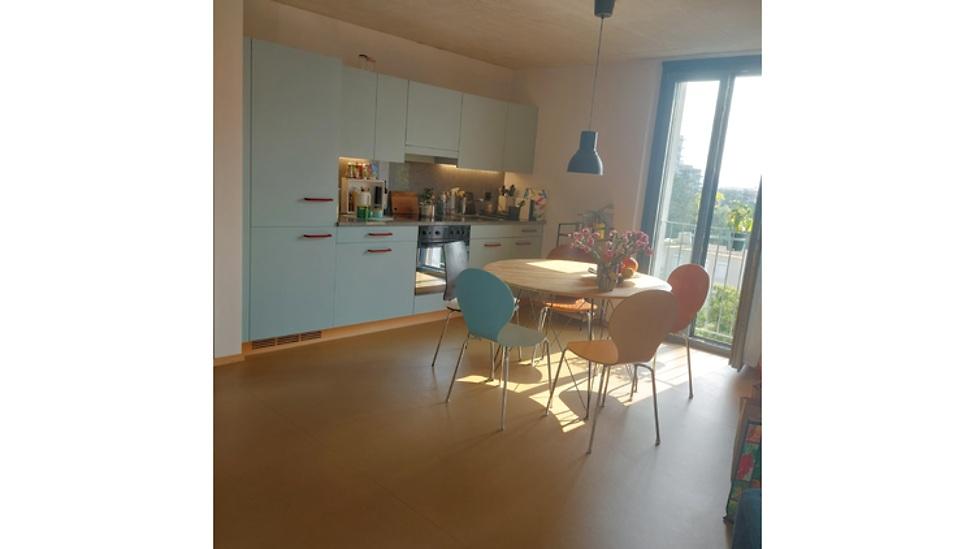 2 ROOM APARTMENT IN ZÜRICH - KREIS 12, FURNISHED, TEMPORARY - 3