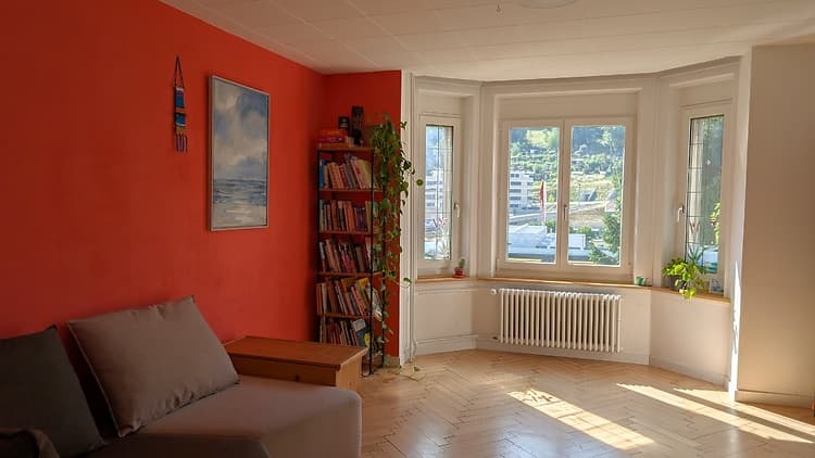 4 ZI-WOHNUNG IN ST. GALLEN, MÖBLIERT, TEMPORÄR - 1
