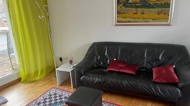 2½ ROOM ATTIC APARTMENT (PENTHOUSE) IN BADEN (AG), FURNISHED, TEMPORARY - 1