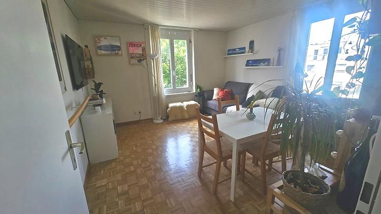 3 ROOM APARTMENT IN ZÜRICH - KREIS 4 LANGSTRASSE, FURNISHED, TEMPORARY - 2