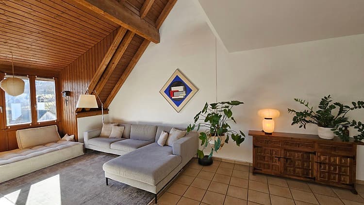 3½ ROOM APARTMENT IN ZÜRICH - KREIS 9 ALBISRIEDEN, FURNISHED, TEMPORARY - 1