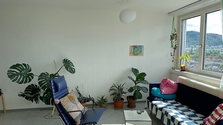 3½ ROOM APARTMENT IN ZÜRICH - KREIS 3 SIHLFELD, FURNISHED, TEMPORARY - 2