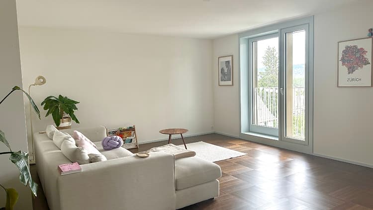 2½ ROOM APARTMENT IN ZÜRICH - KREIS 2 WOLLISHOFEN, FURNISHED, TEMPORARY - 1