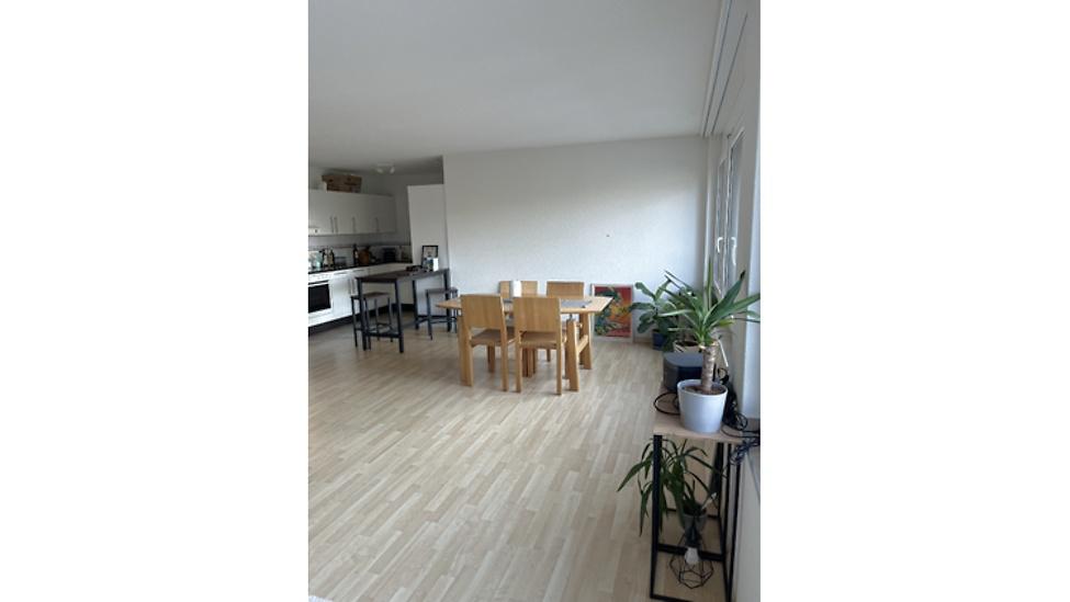 2½ ROOM APARTMENT IN ZÜRICH - KREIS 11, FURNISHED, TEMPORARY - 2