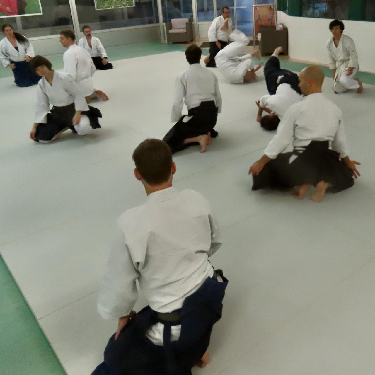 Traditionelles Aikido in Zürich (Höngg) - 2