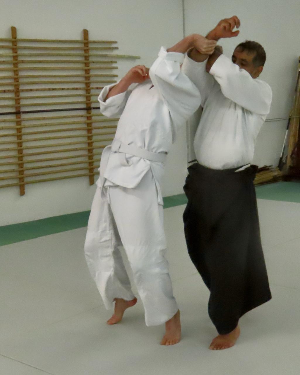 Traditionelles Aikido in Zürich (Höngg) - 3