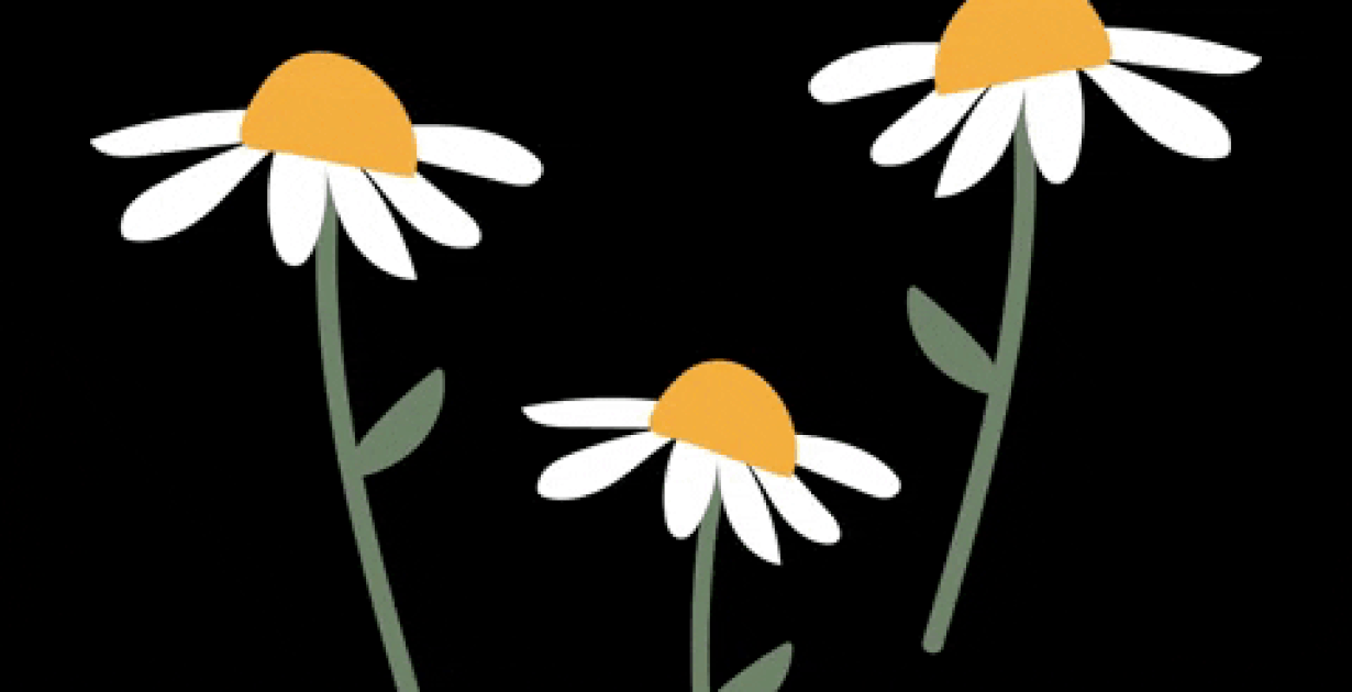 Die schönsten Blumen in Zürich