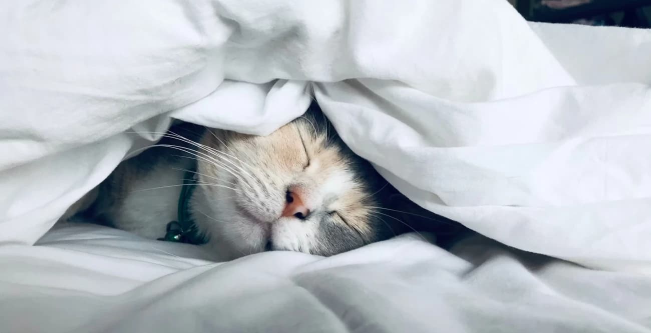 5 Tips For A Better Nights Sleep On A Hot Night