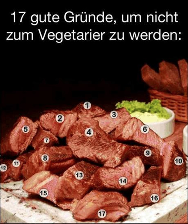 Warum vegan?