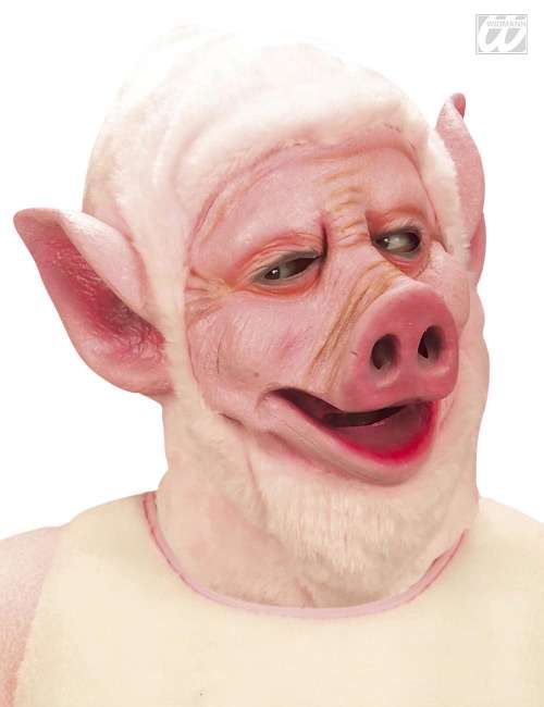 Schweinepest