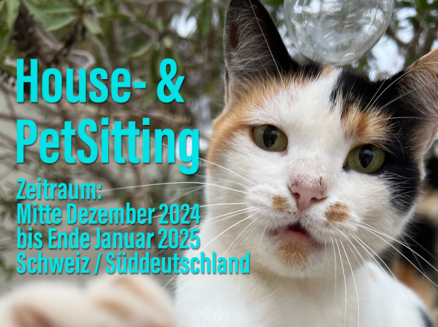 Biete Housesitting zwischen Mitte Dezember und Januar...