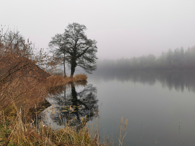 LUZERNPHOTOGEN