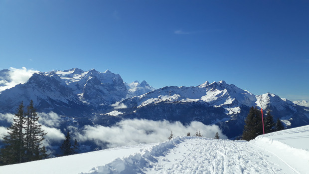 LUZERNPHOTOGEN