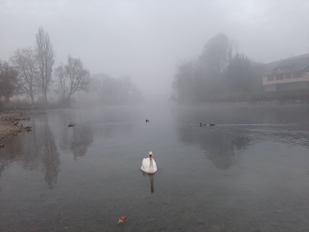 LUZERNPHOTOGEN