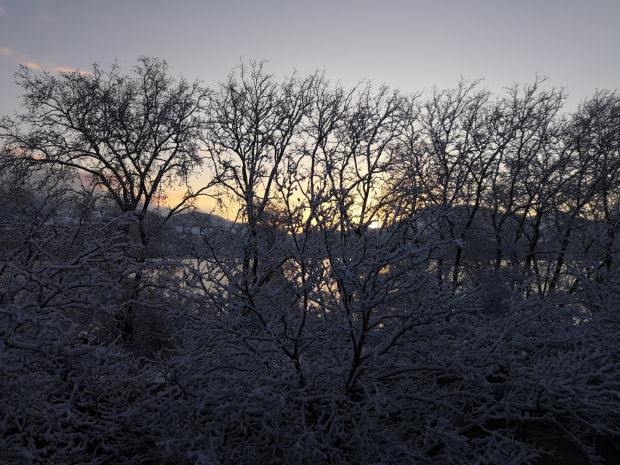 LUZERNPHOTOGEN