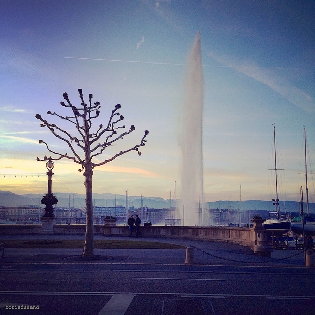 Genève Safari Photo