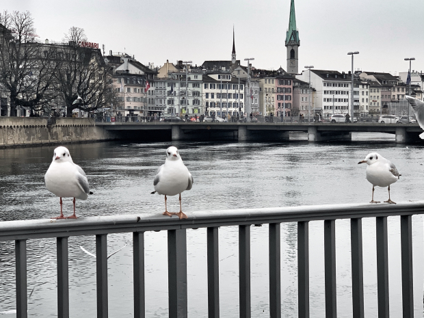 Zurich Photo Trip