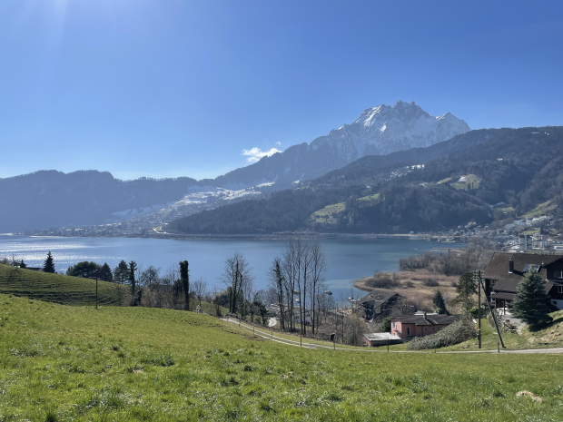 LUZERNPHOTOGEN