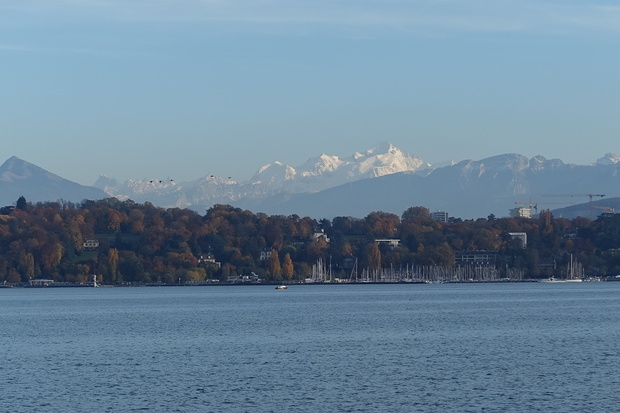 Genève Safari Photo