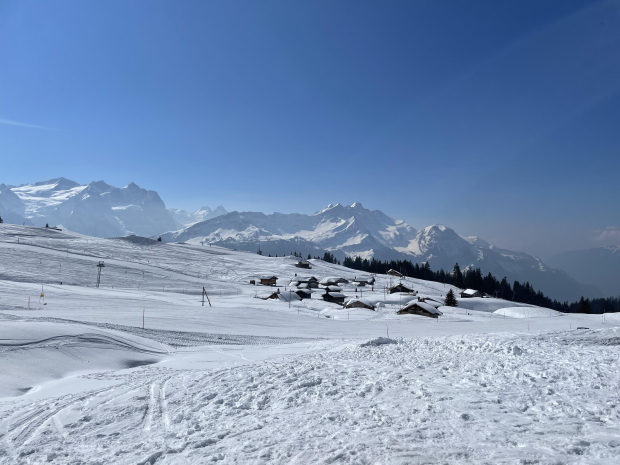 LUZERNPHOTOGEN