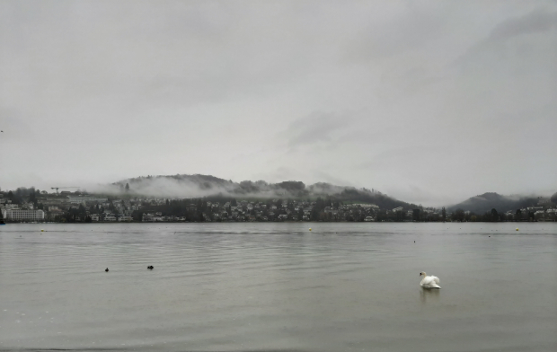 LUZERNPHOTOGEN