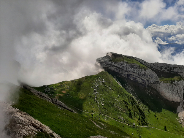 LUZERNPHOTOGEN